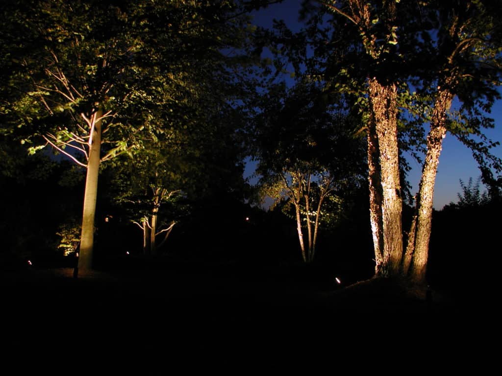 Burr Ridge Tree Lighting Outdoor Lighting in Chicago, IL Outdoor