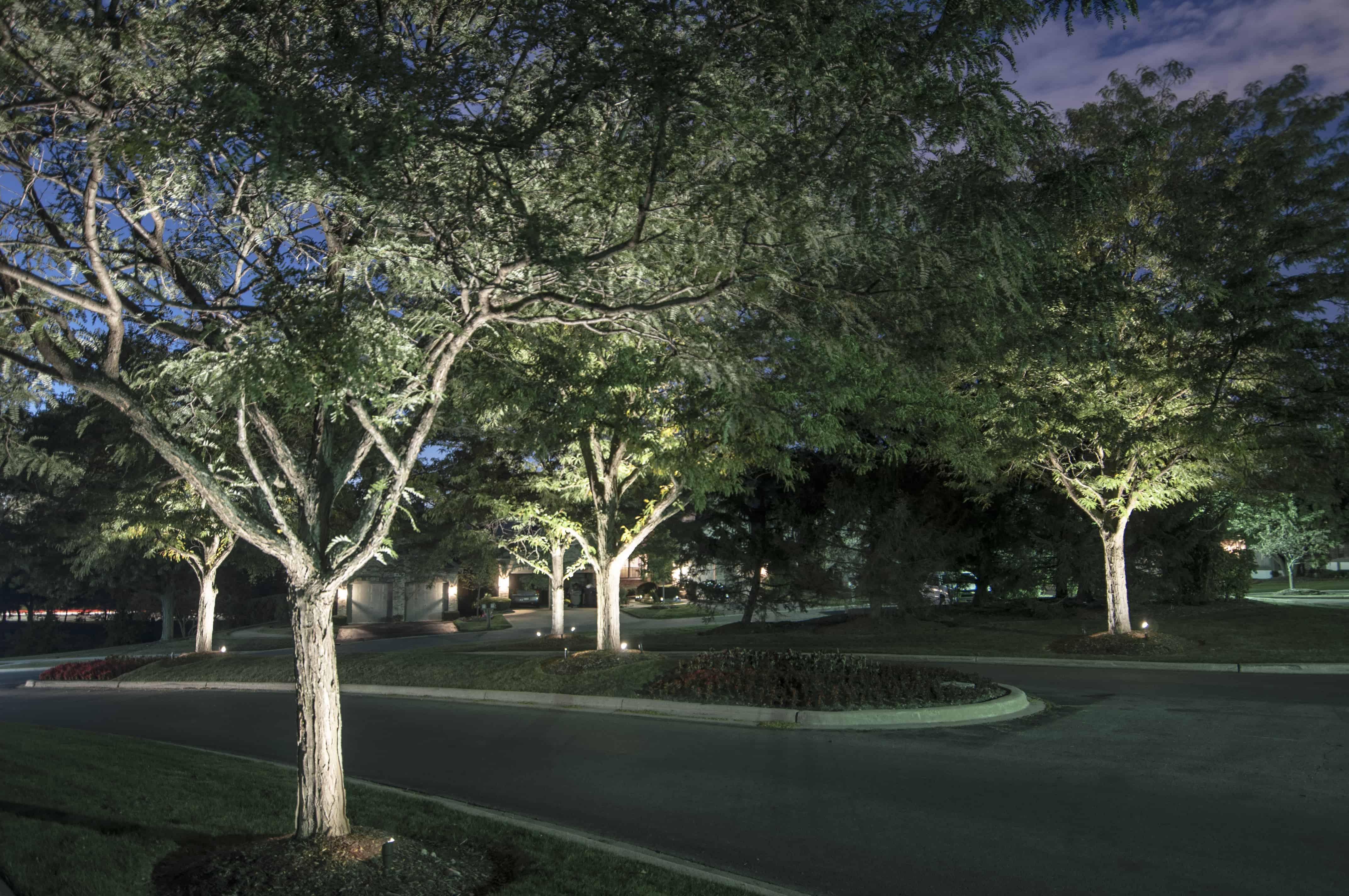 Tree Lighting - Outdoor Lighting in Chicago, IL | Outdoor Accents