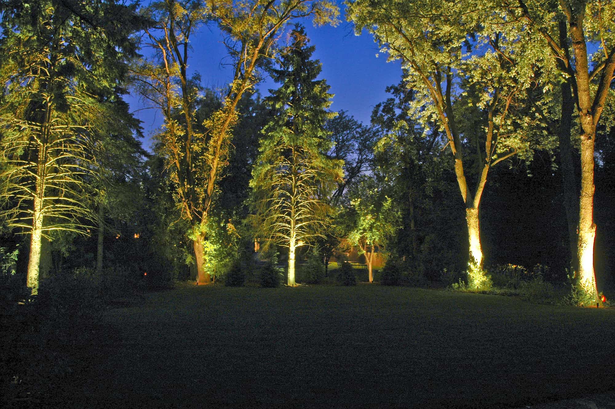 Tree Lighting - Outdoor Lighting in Chicago, IL | Outdoor Accents