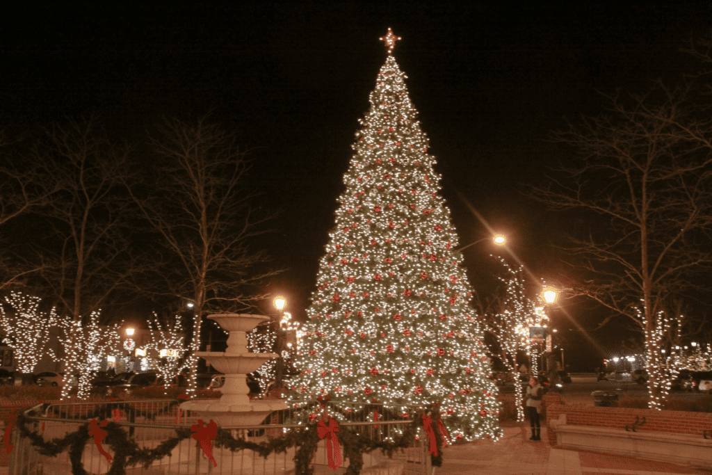 Tinley Park Tree Outdoor Lighting in Chicago, IL Outdoor Accents