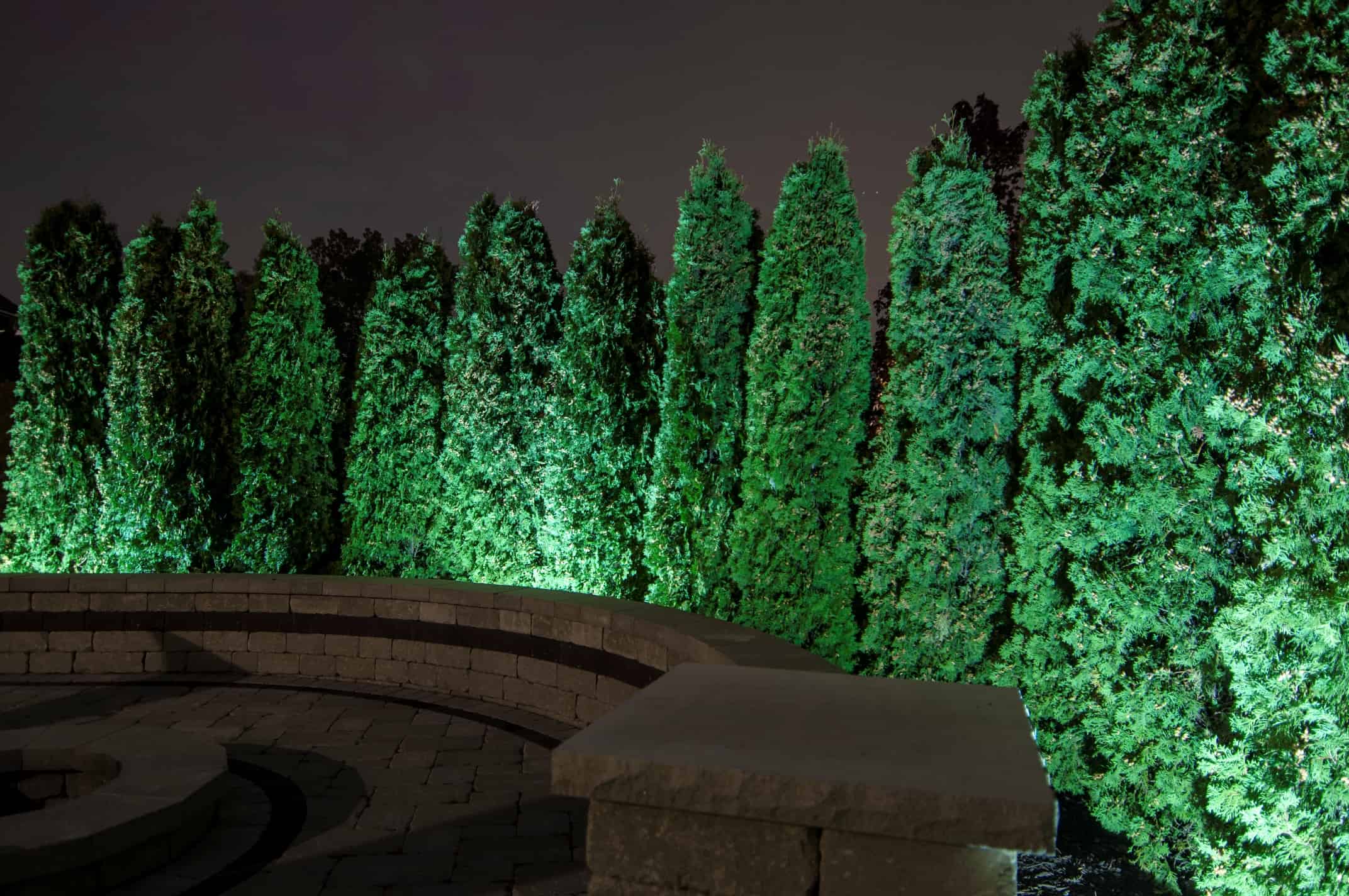 Зеленая подсветка деревьев. Зеленый прожектор для подсветки деревьев. Зеленая подсветка деревьев. Люминесцентные деревья. Зеленая подсветка деревьев.